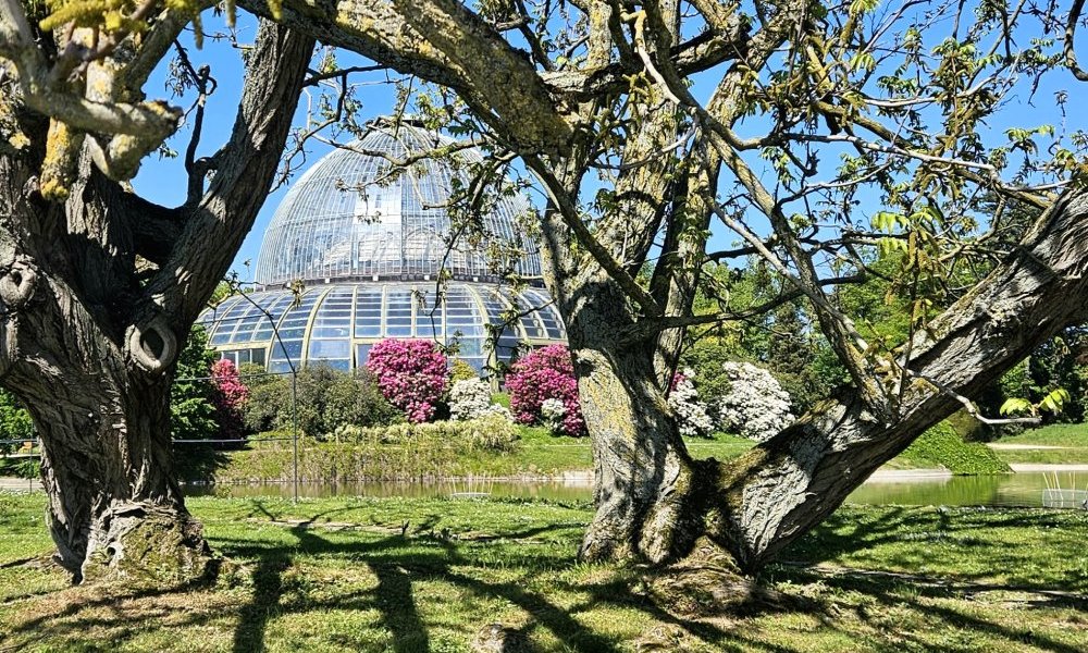 Surpensée (overthinking)