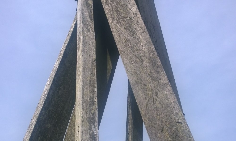 Frêle échancrure