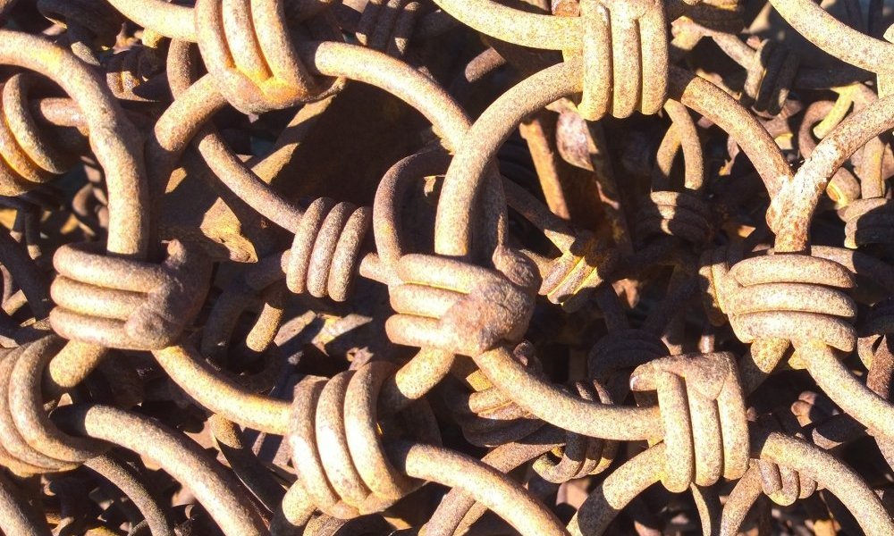 Abreuver l'univers reptilien de gouttes fertiles