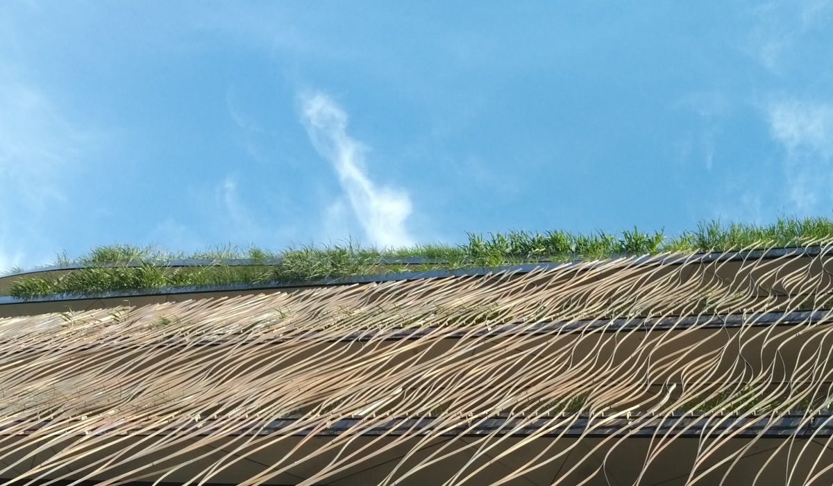 Au commencement était l'intrication