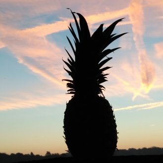 Impétueux volcan