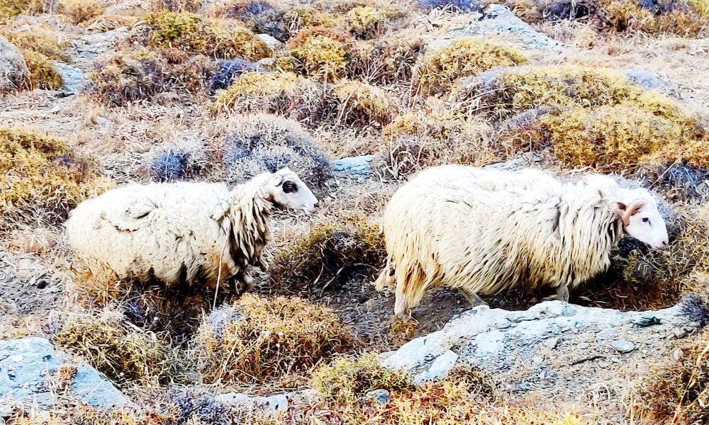 Un terrain d'entente