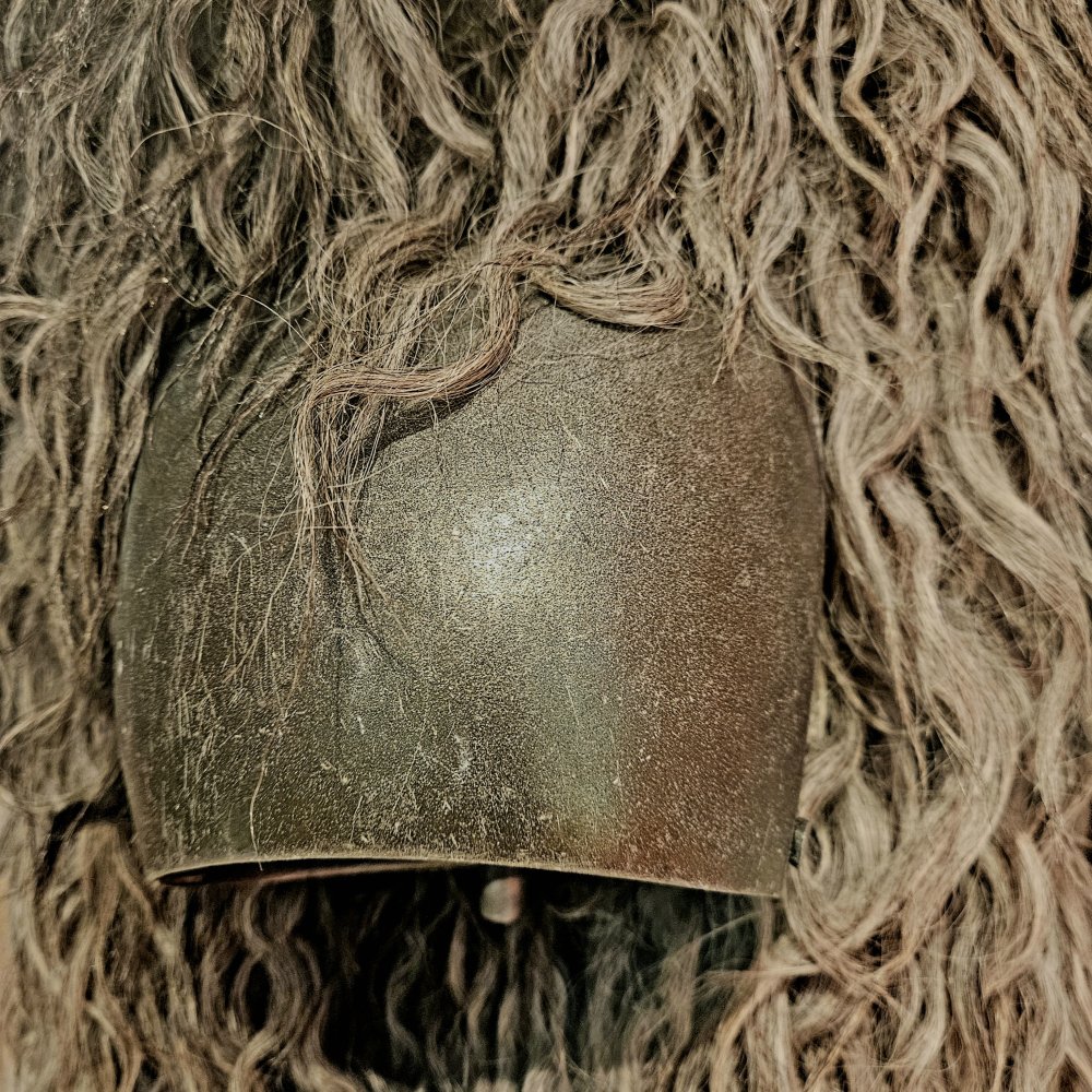 Vivre sous cloche