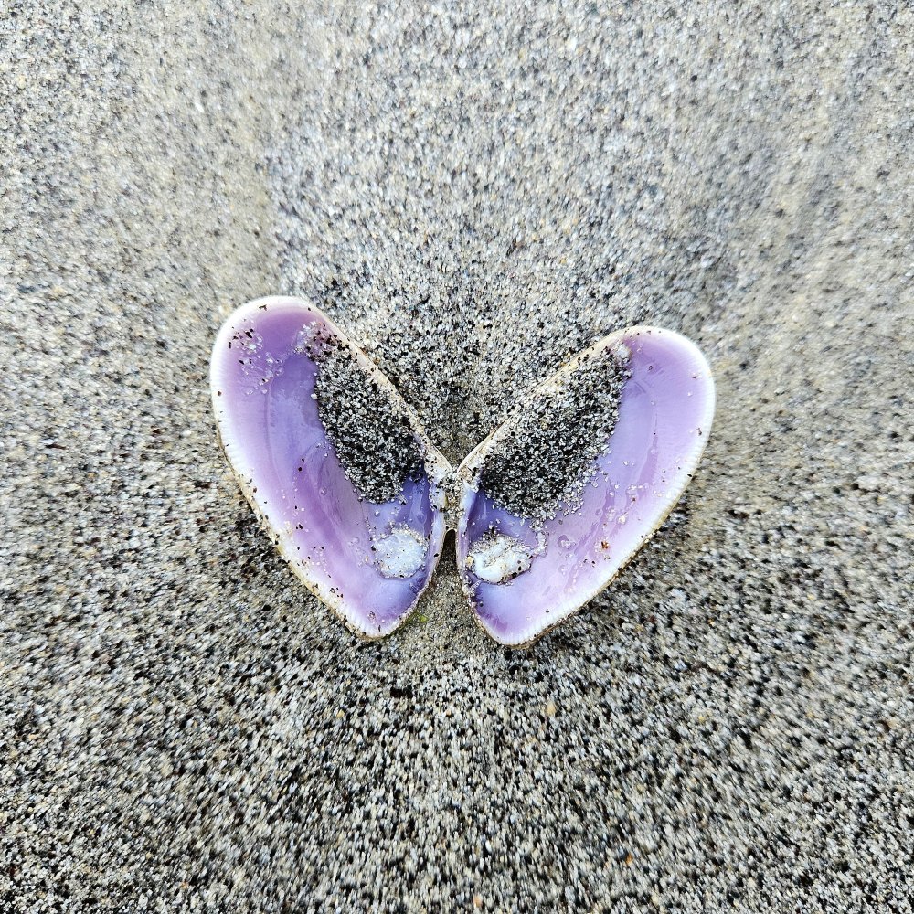 Le coeur aussi sait se taire