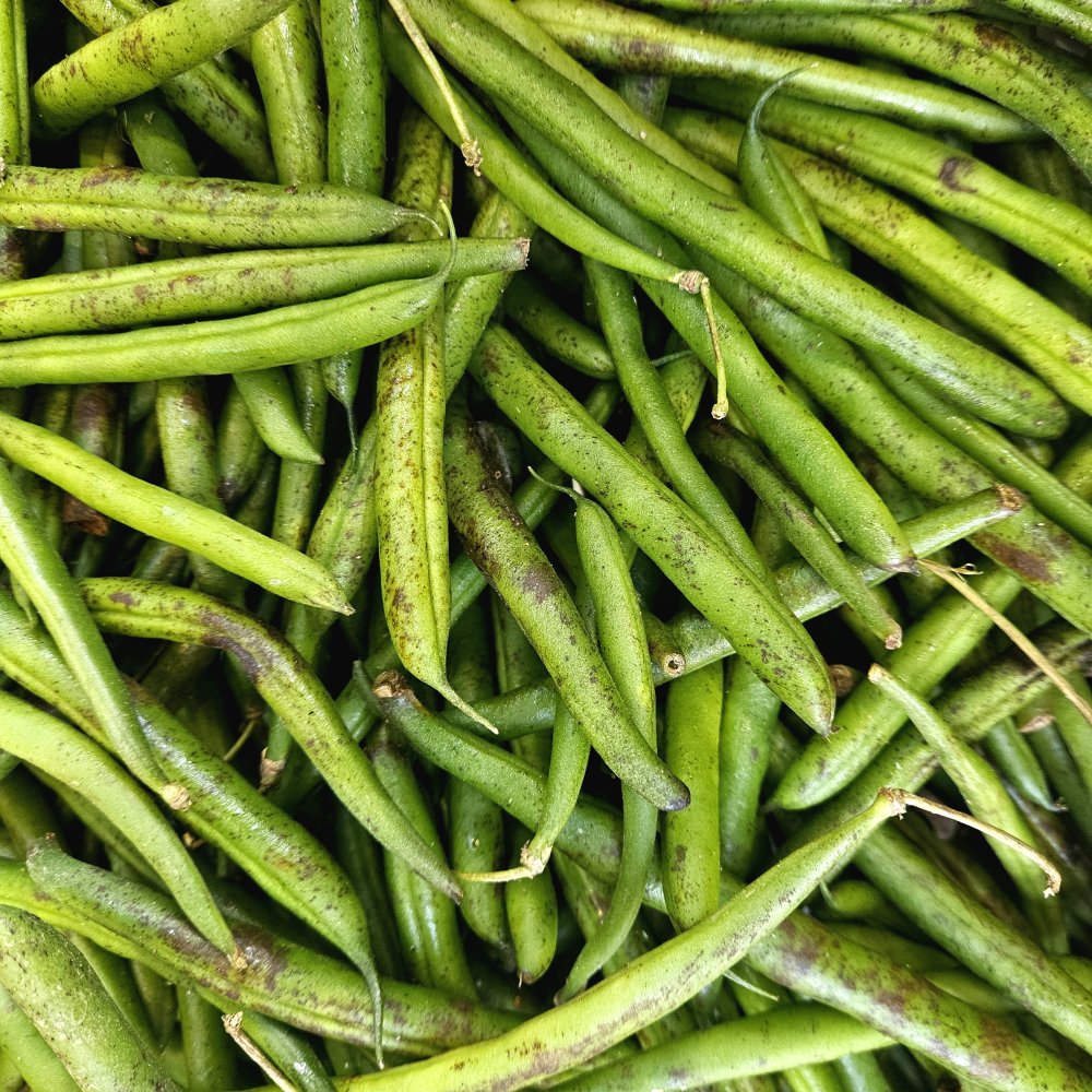 Eve, vers où versent ces vers verts ?