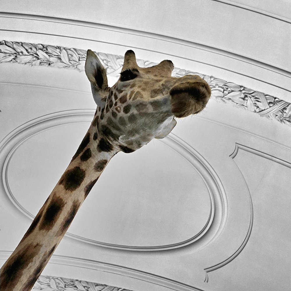 Tendu vers l'essence de son identité