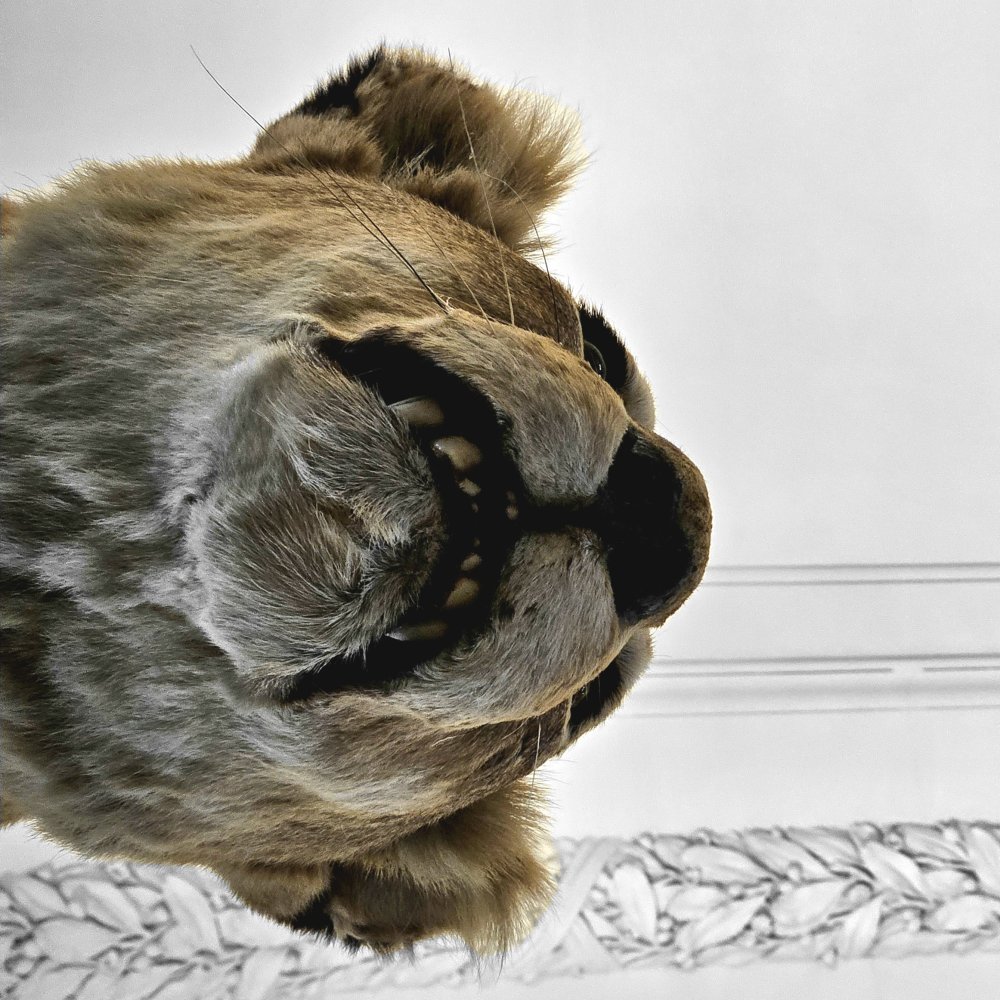 Tendu vers l'essence de son identité