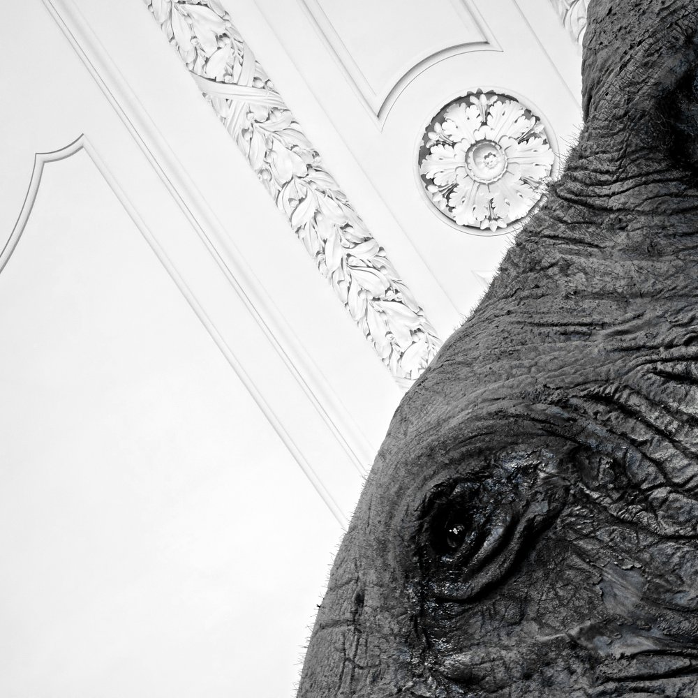 Tendu vers l'essence de son identité