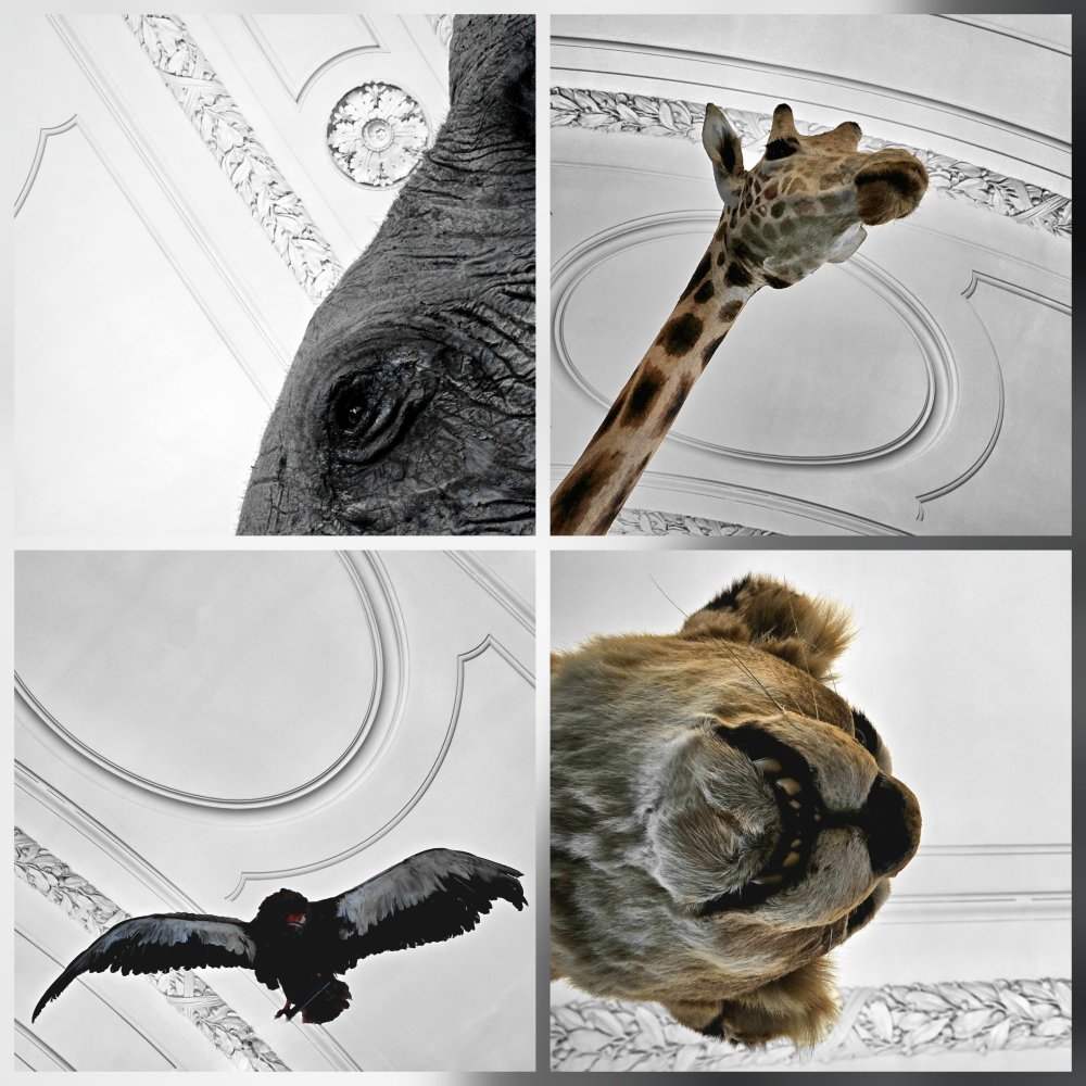 Tendu vers l'essence de son identité