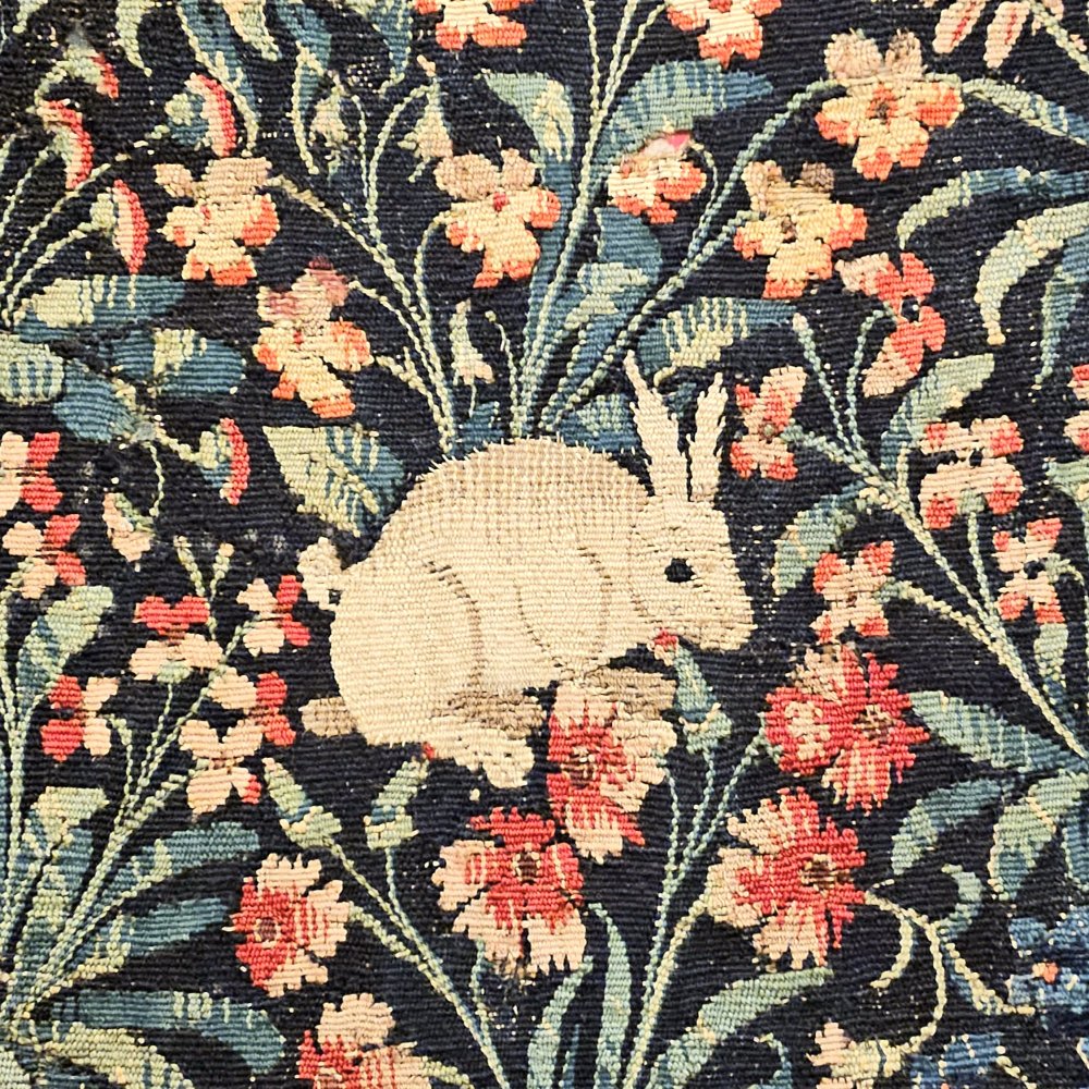 Lapin de corridor
