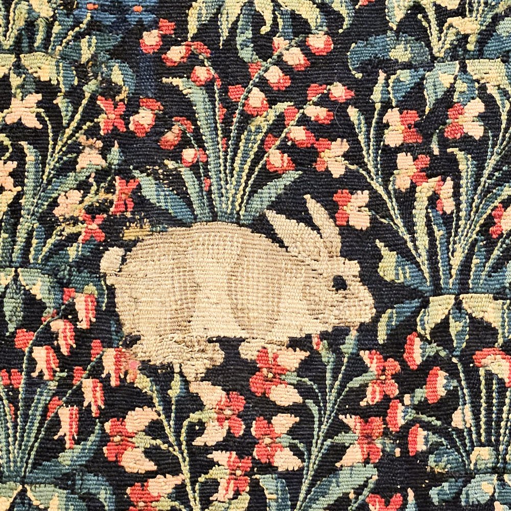 Lapin de corridor