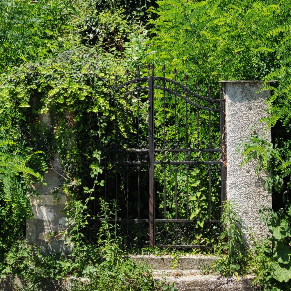 D'antan