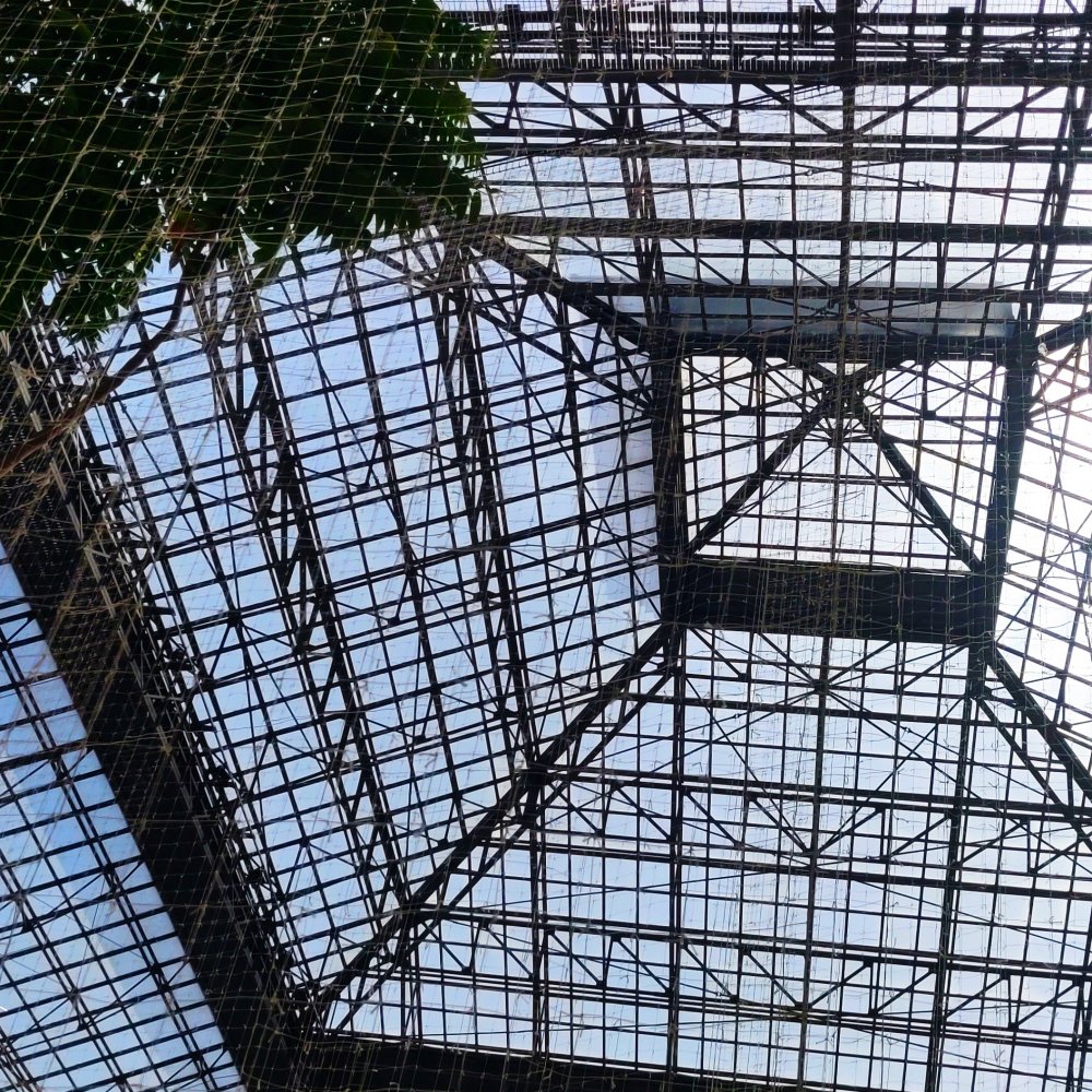 Le temps diffracte