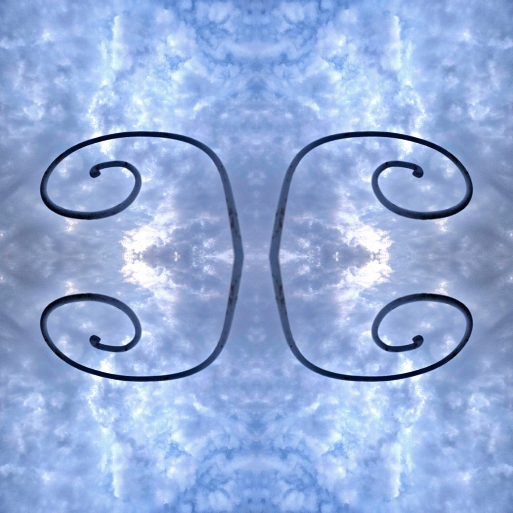 Circonvolution spécieuse et pathétique