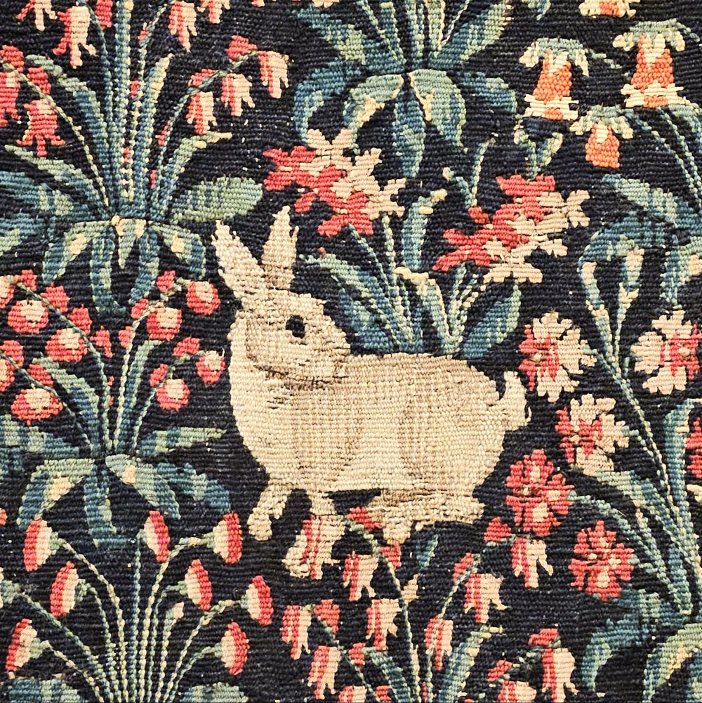 Lapin de corridor