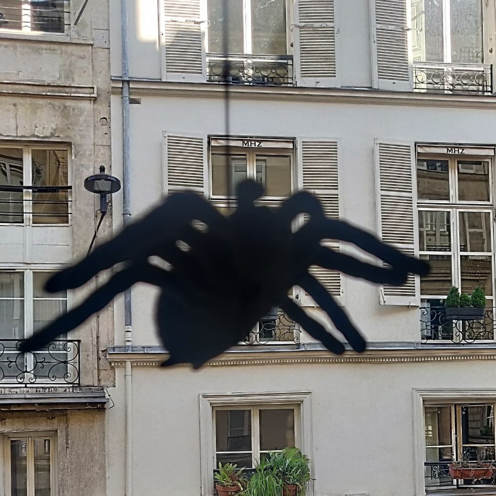 Tomber par inadvertance dans un monde inconnu