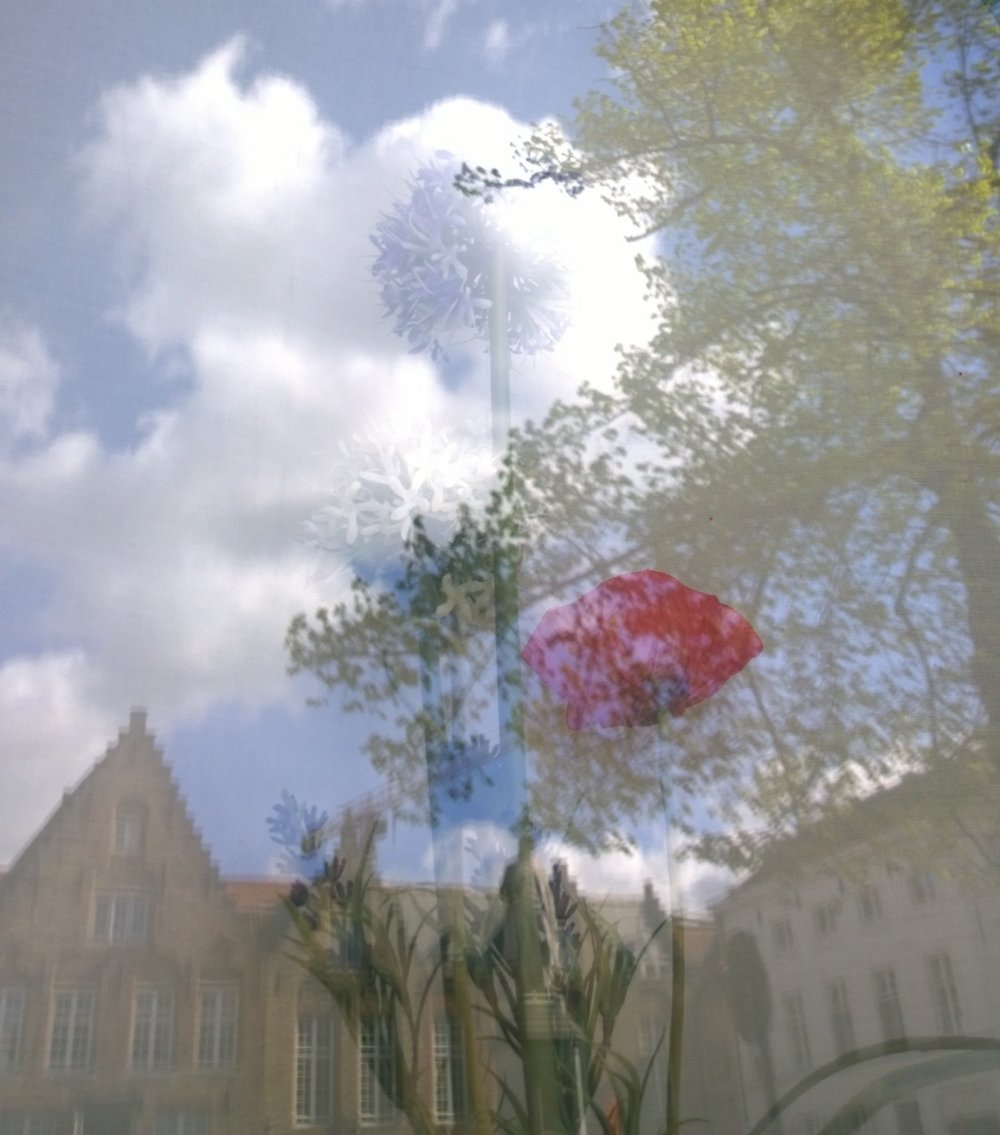Sous l'ombre d'une capeline