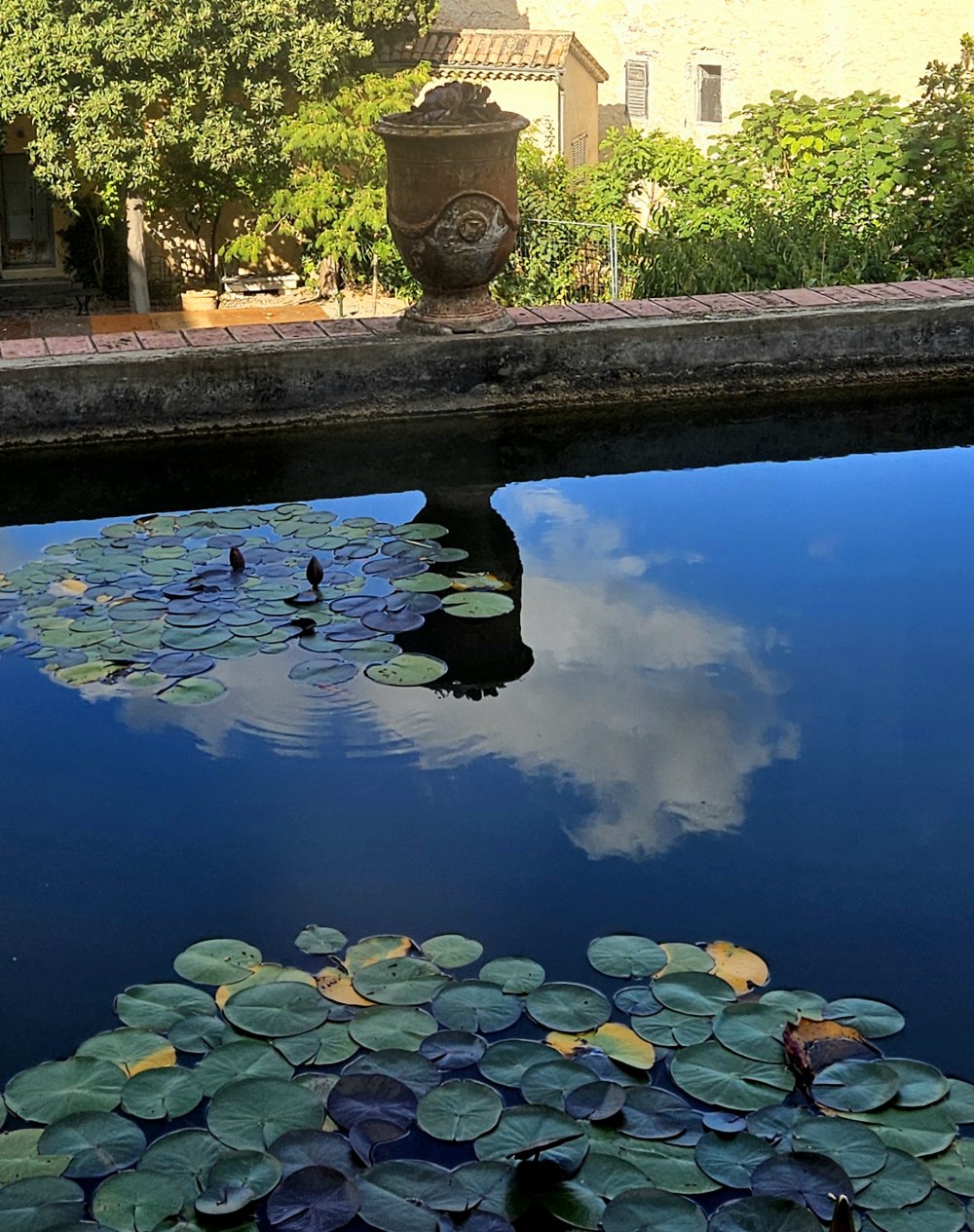 Fraîcheur de vivre