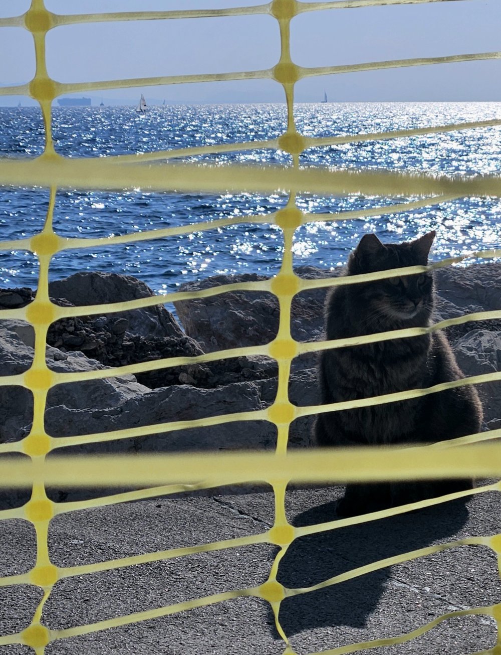 Étrange intrication