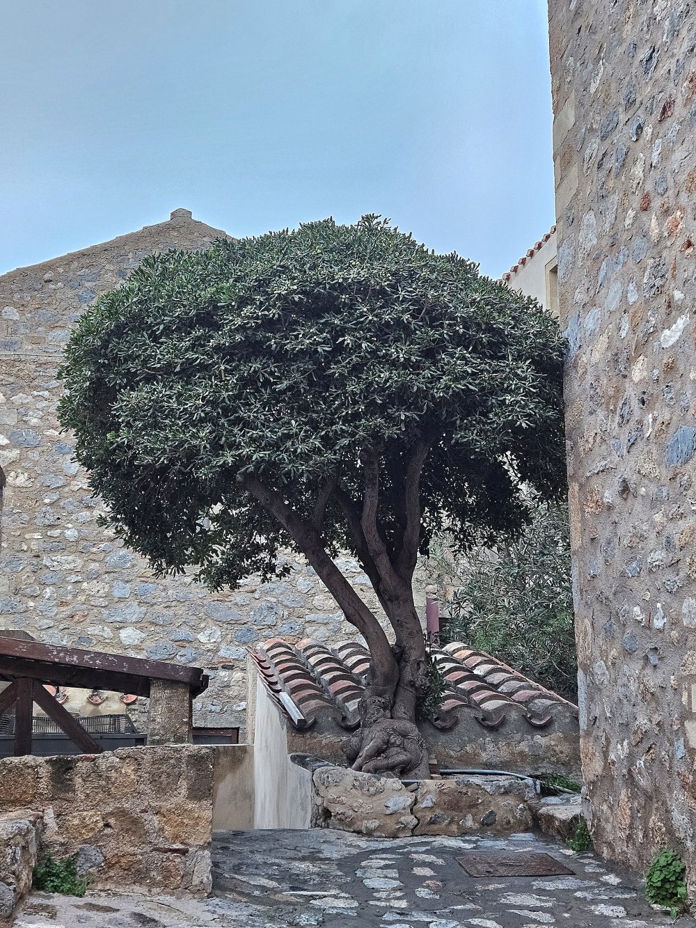 Pauvre hère sous ses grands airs
