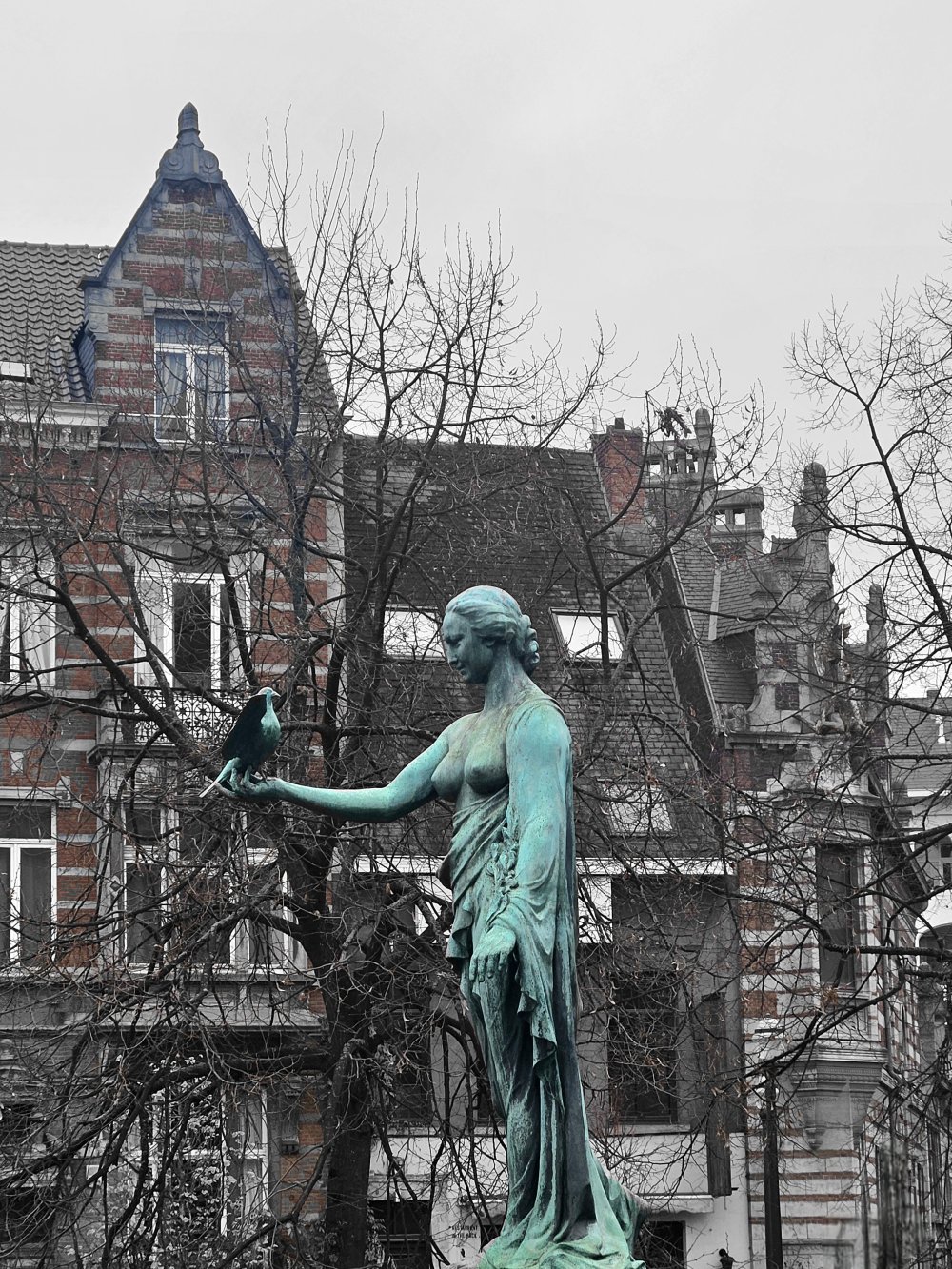 Tout a commencé par un rêve