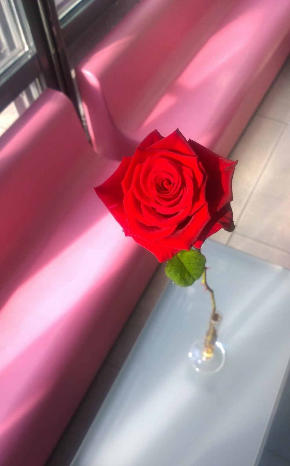 Il nome della rosa