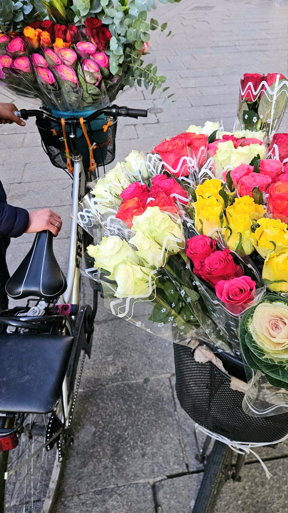 Galanterie presque surannée (2026)