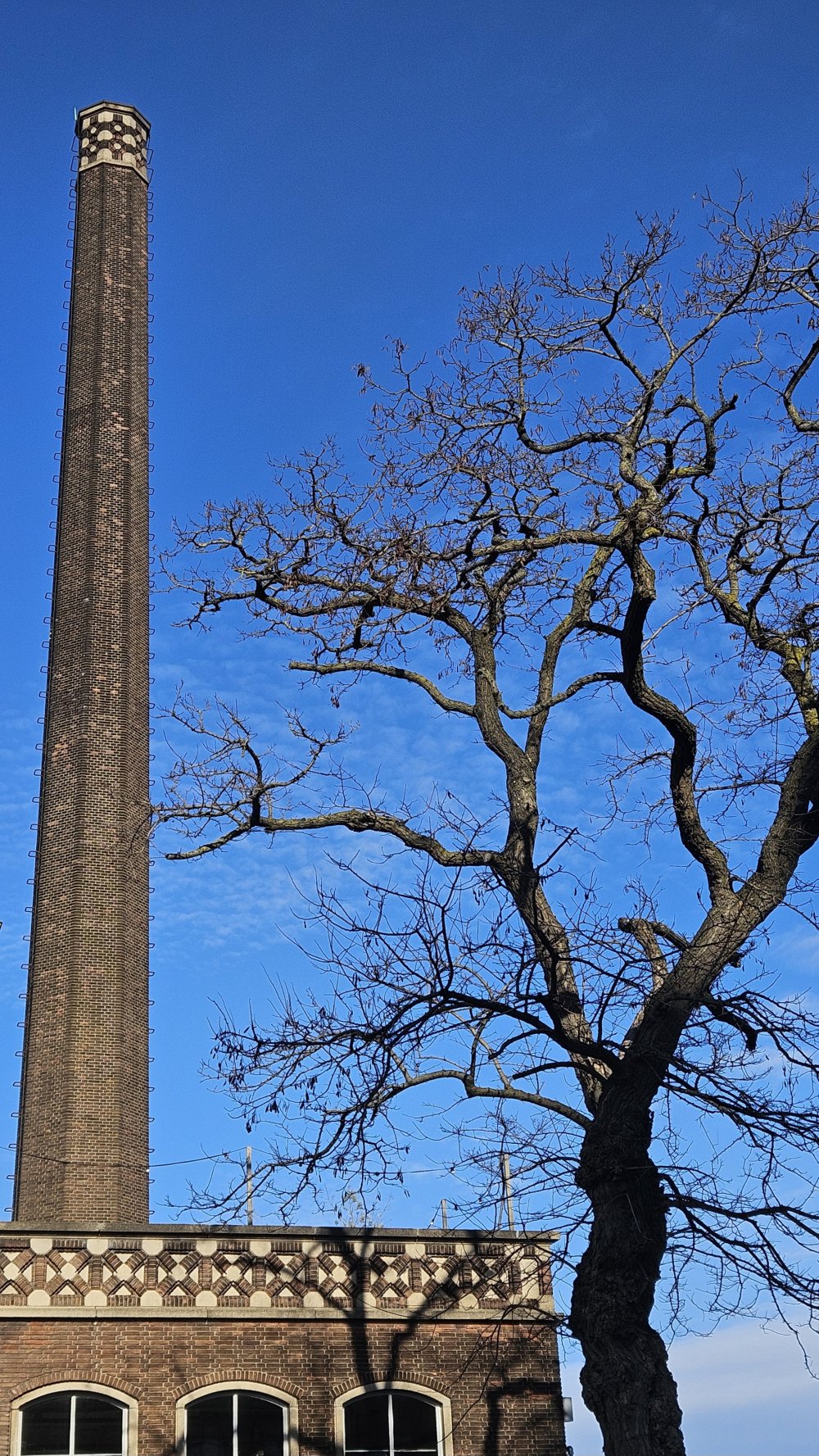 Se raidir de déplaisir