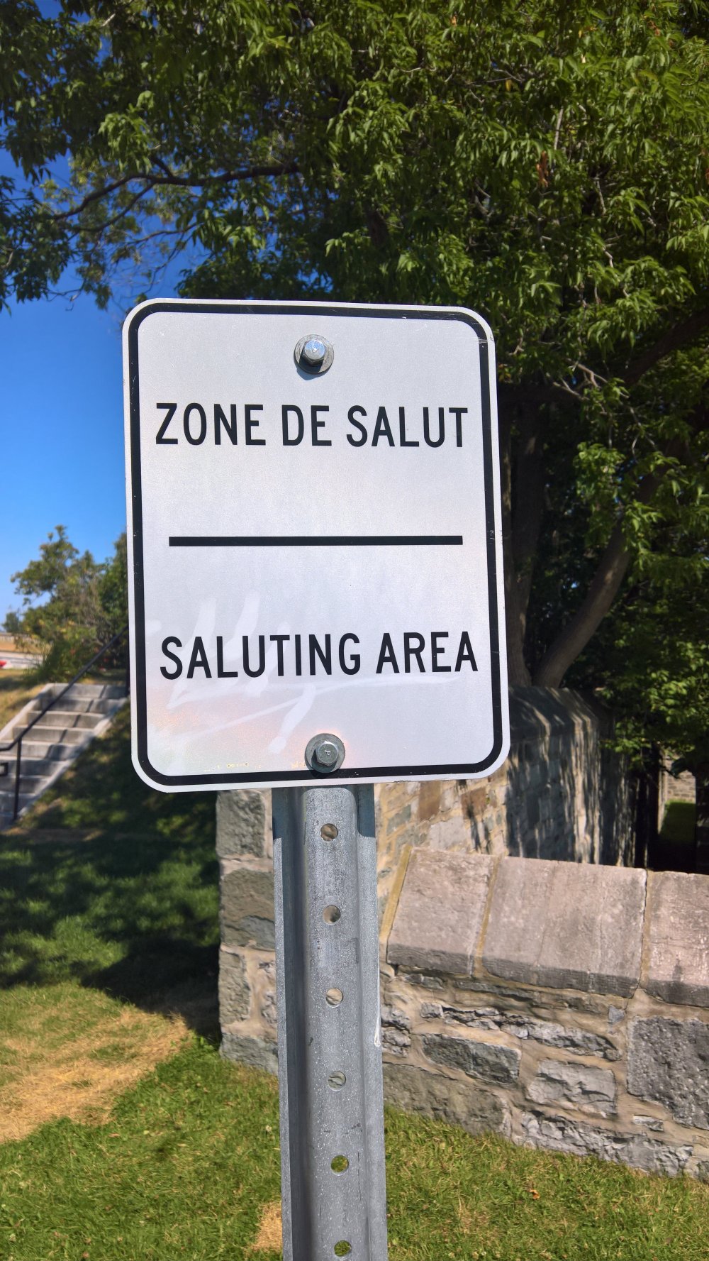 Saluer