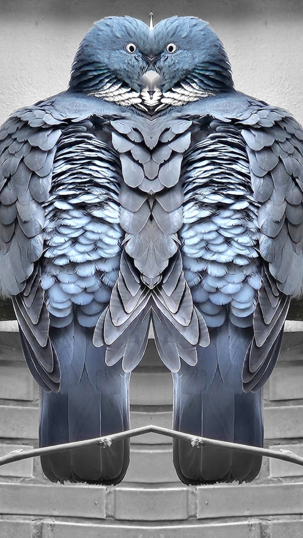 Mariage de la carpe et du lapin