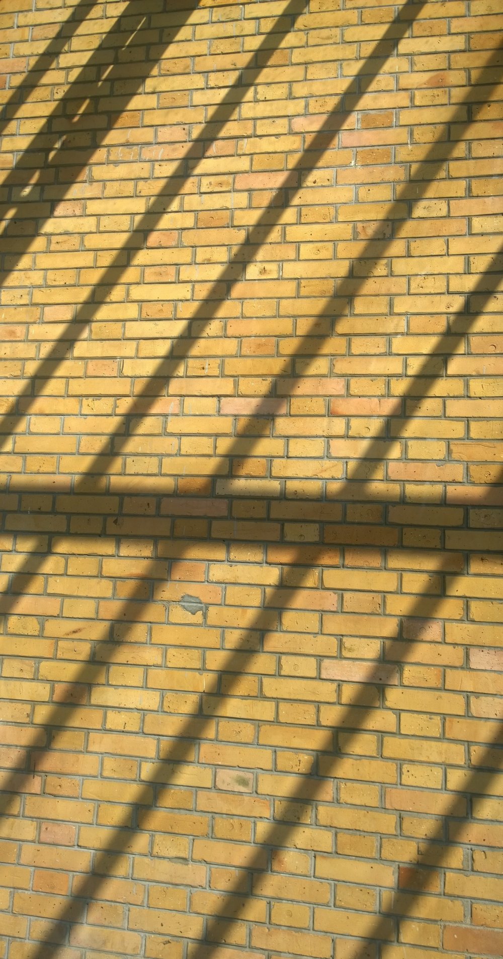 Mon ombre réapparaîtra