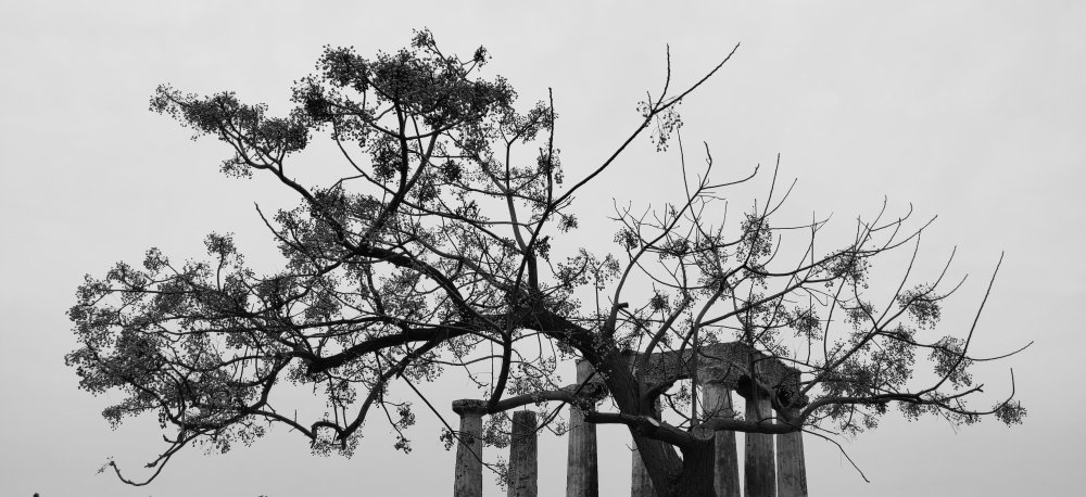 Sensation de plénitude étiolée
