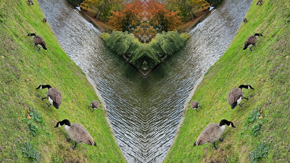 Gravir l'escalier invisible de la vie