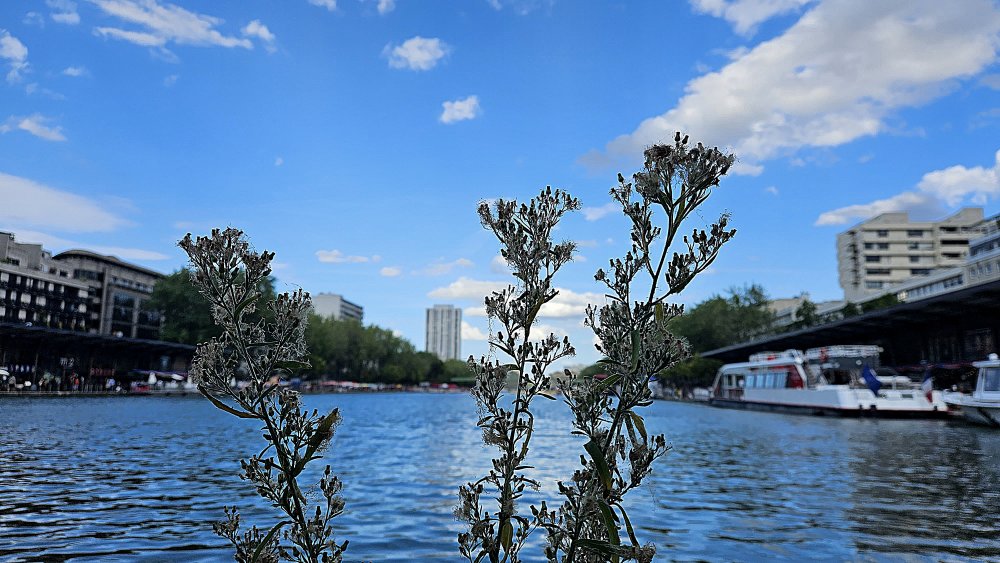 L'été en pente douce