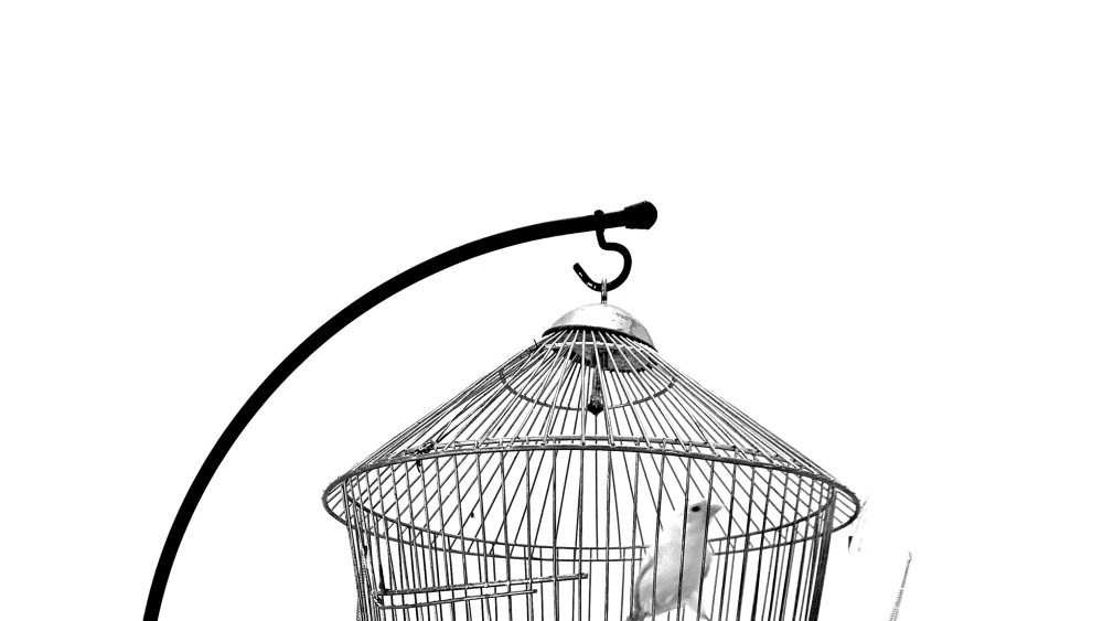 La tentation du saccage