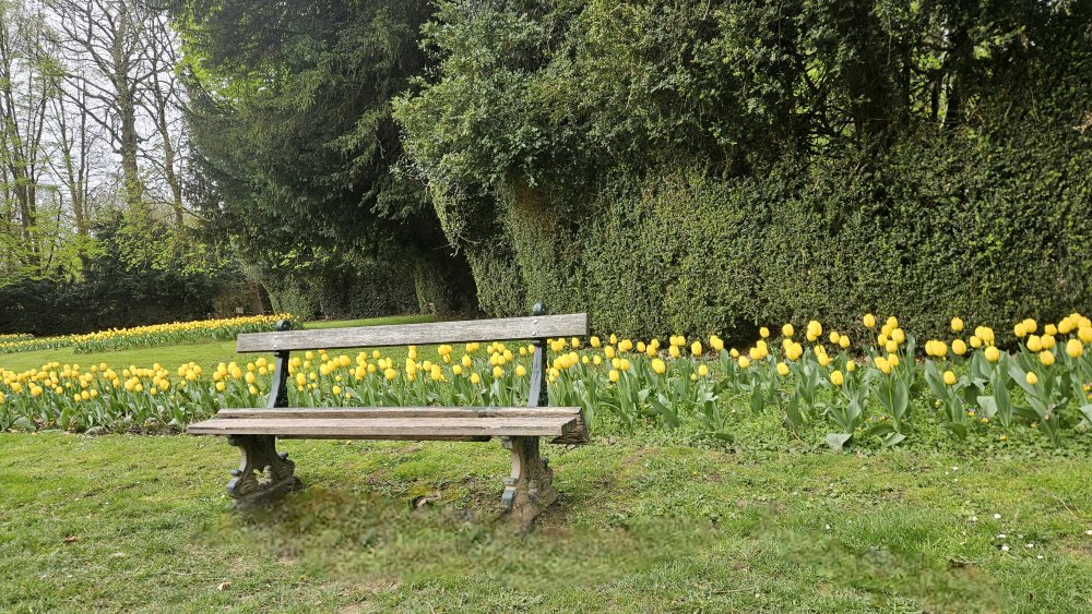 Ses jalousies, ses messes basses et ses rendez-vous secrets