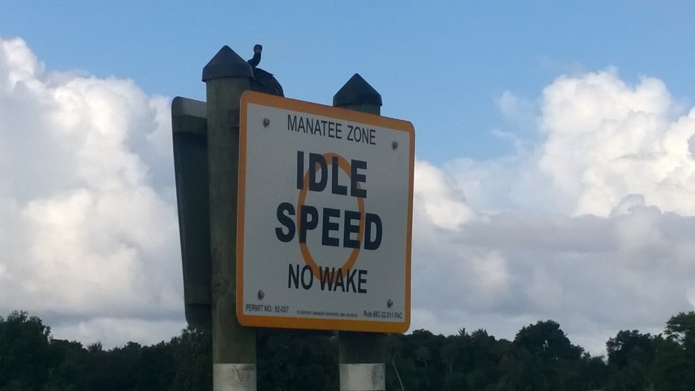 idle speed