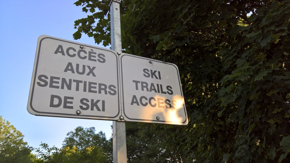 Skier