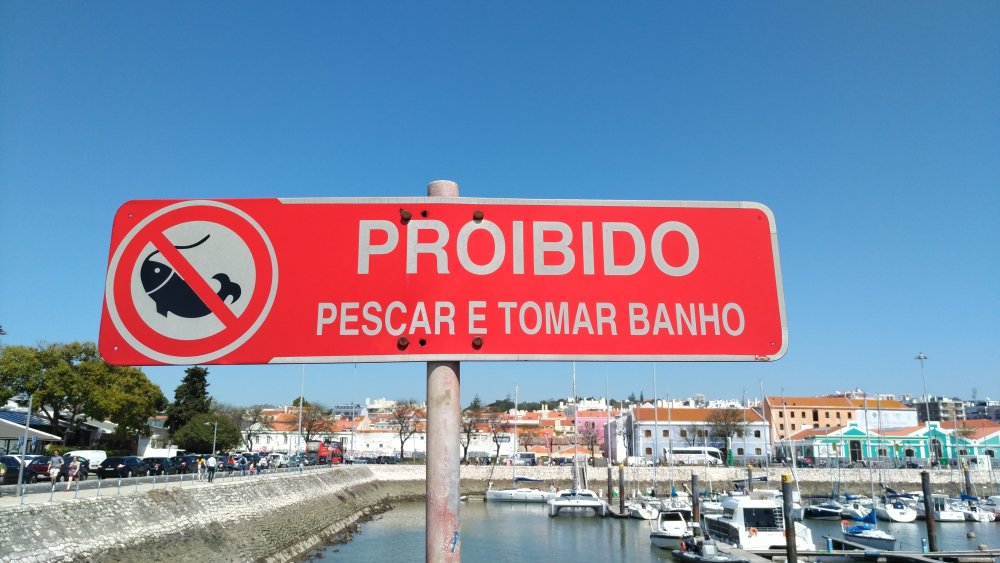 pescar e tomar banho