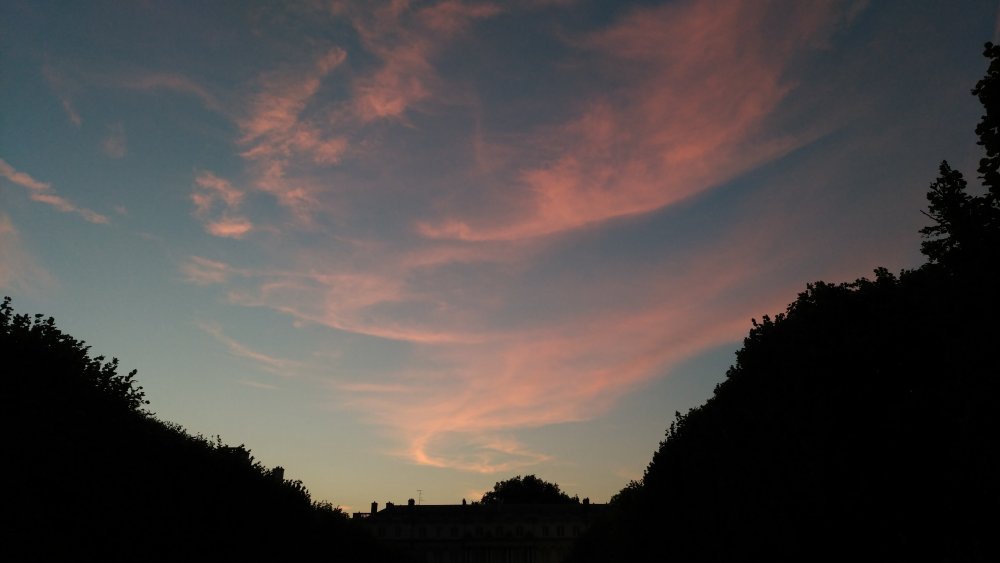 Une moire de fièvre substituée à une étoffe de soie calandrée 1