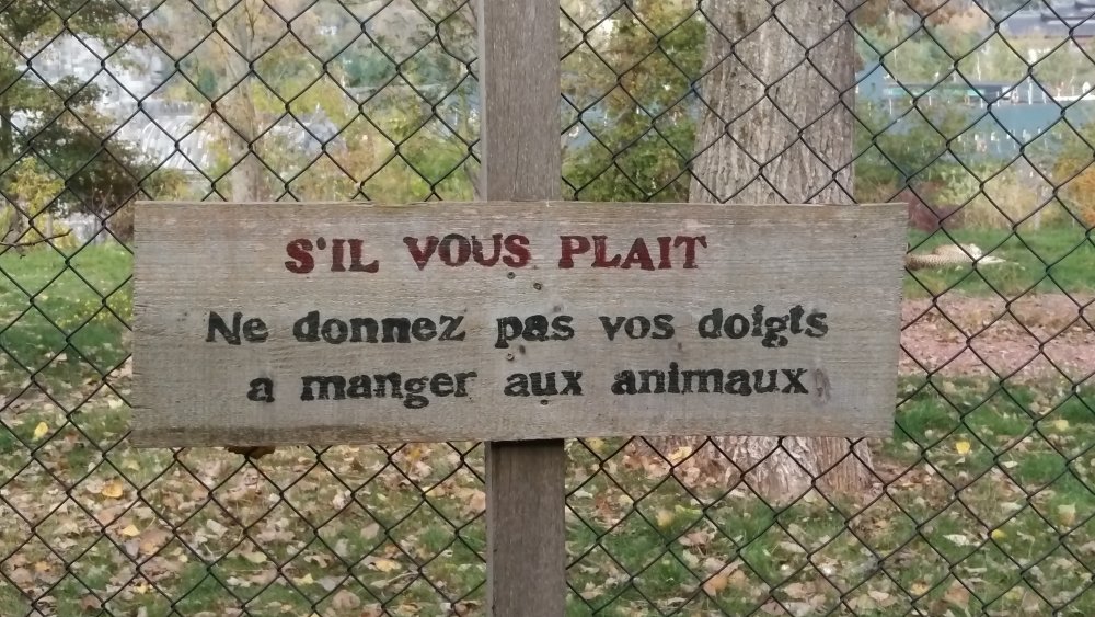 doigts à manger