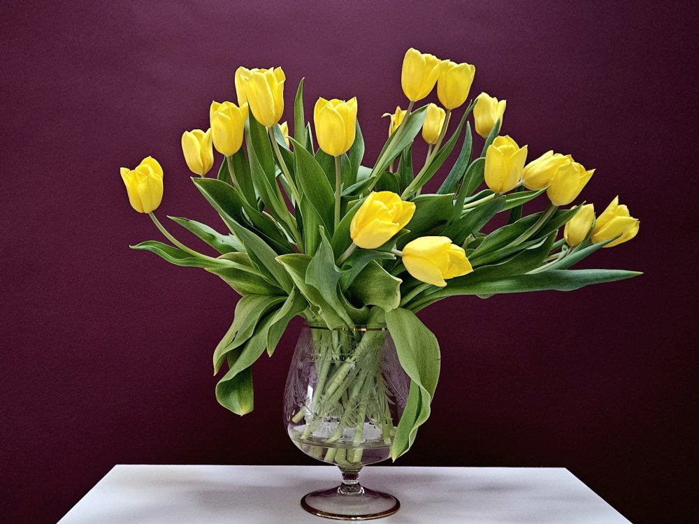 En pleine effervescence