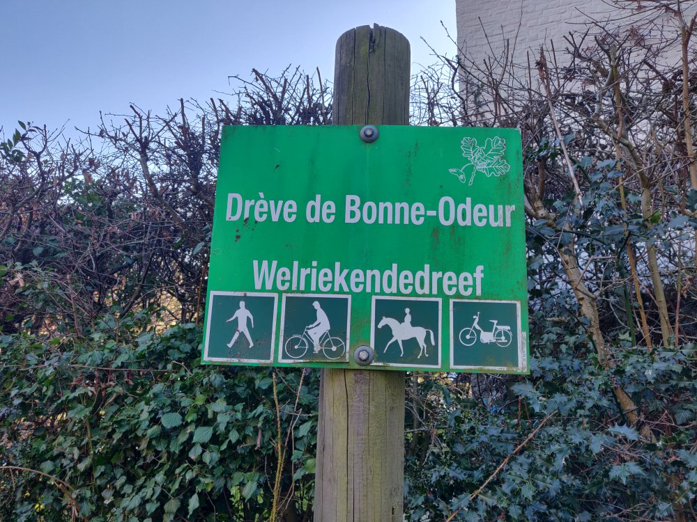 Drève de bonne-odeur