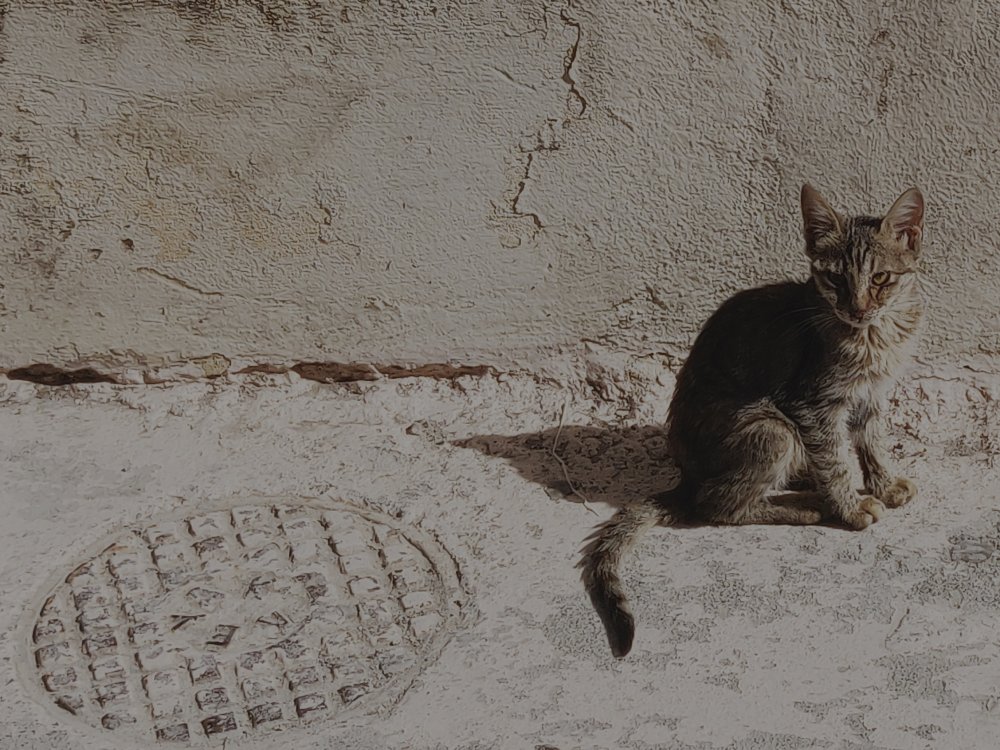 Seule la mort laisse à jamais une place vide