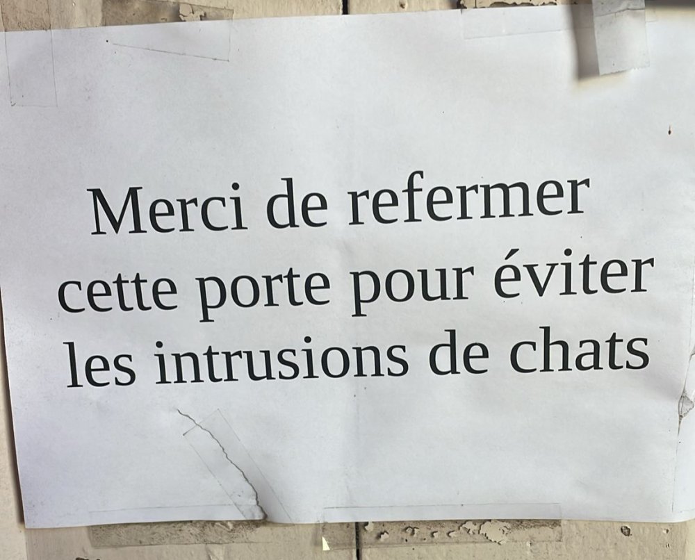 Éviter les intrusions de chats
