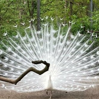 Quand on est dans un tourbillon, on ne peut pas penser