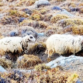Un terrain d'entente