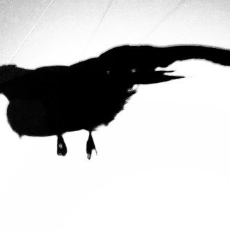 Les Nuits de pleine lune