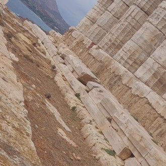 Manœuvre de diversion