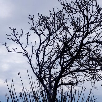 Être un petit peu singulier